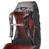 Gregory Facet 35 - Image 2